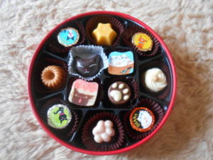 ゴンチャロフ アンジュジュ 人気の猫チョコレート購入レビュー チョコレート スイーツ実食 情報ブログ